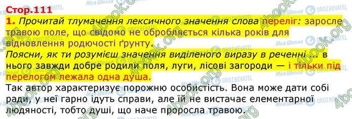 ГДЗ Укр лит 7 класс страница Стр.111 (1)